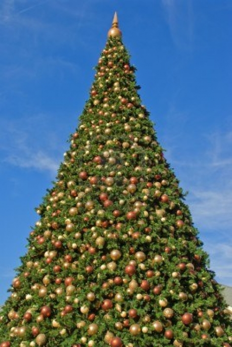 Kerstboom optuigen - za 15 december 14.00u